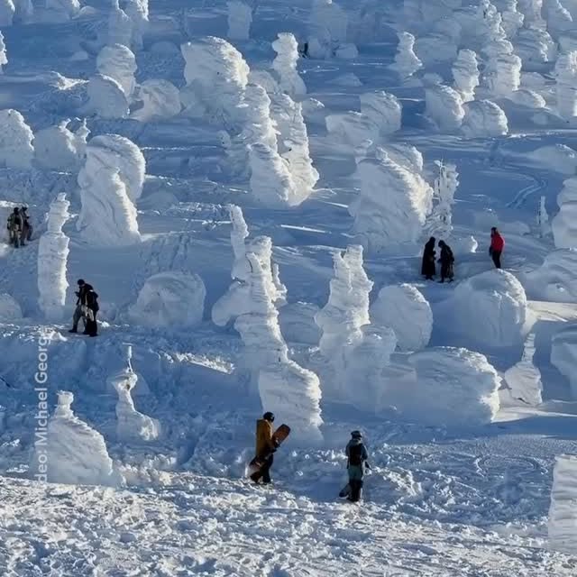  ......aveling   'recent posts' 