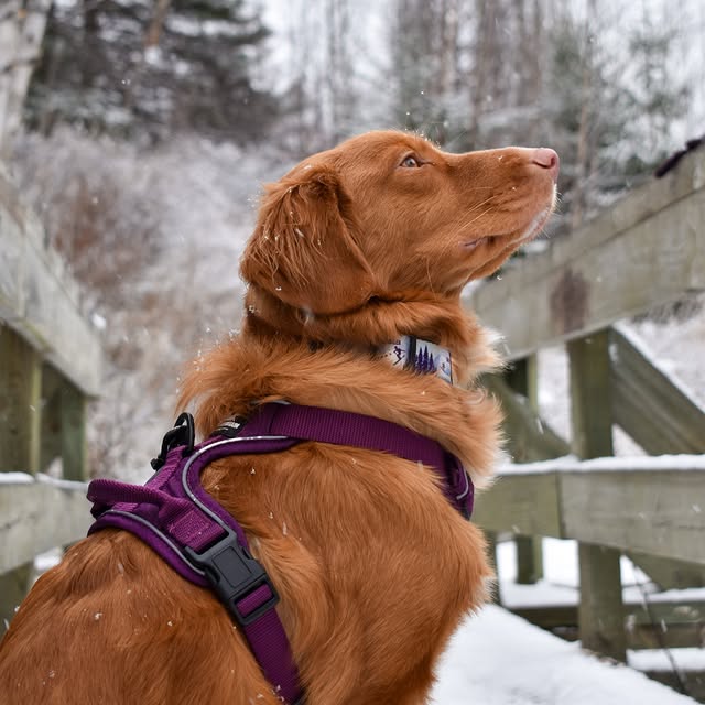  ......atoller   'recent posts' 