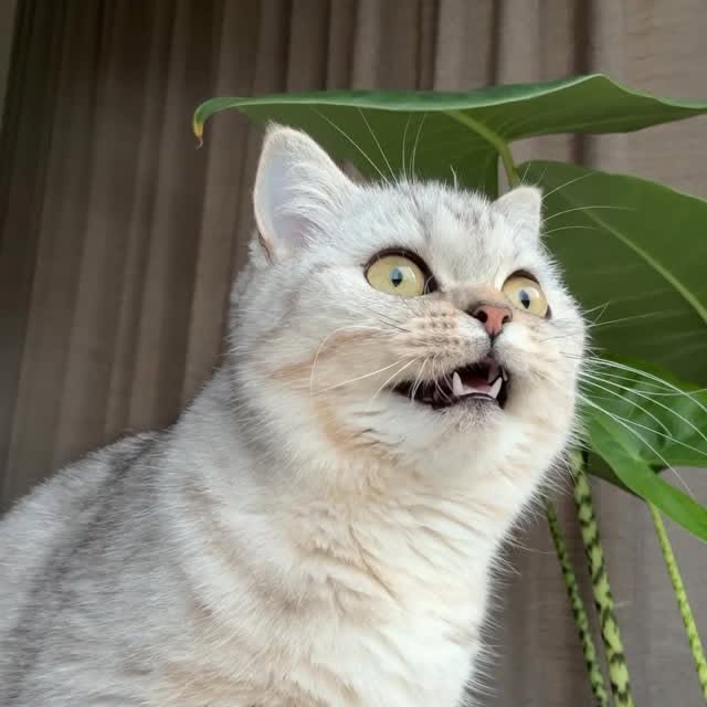  ......kekkek   'recent posts' 