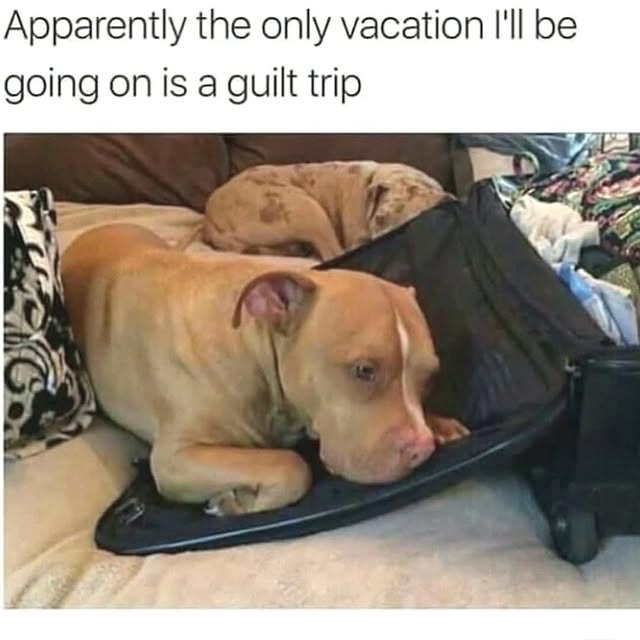  .......ndrulzz   'recent posts' 