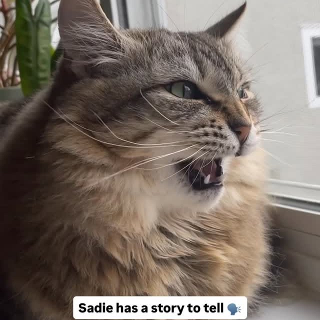  ......kekkek   'recent posts' 