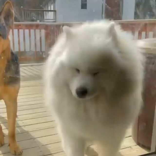  .........oreverlove   'recent posts' 