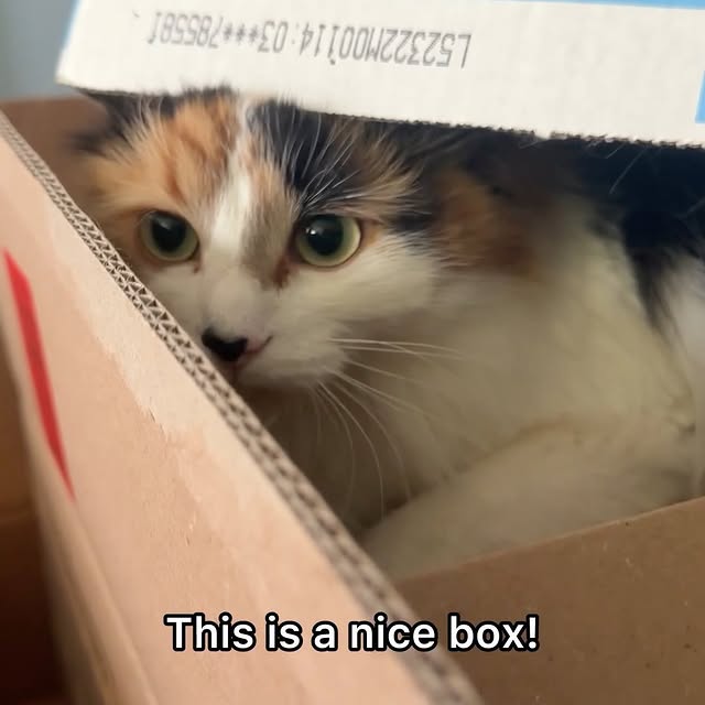  .........tofficial   'recent posts' 