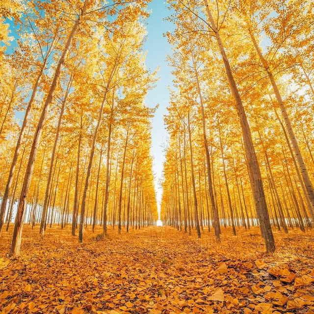  .........onworldpix   'recent posts' 