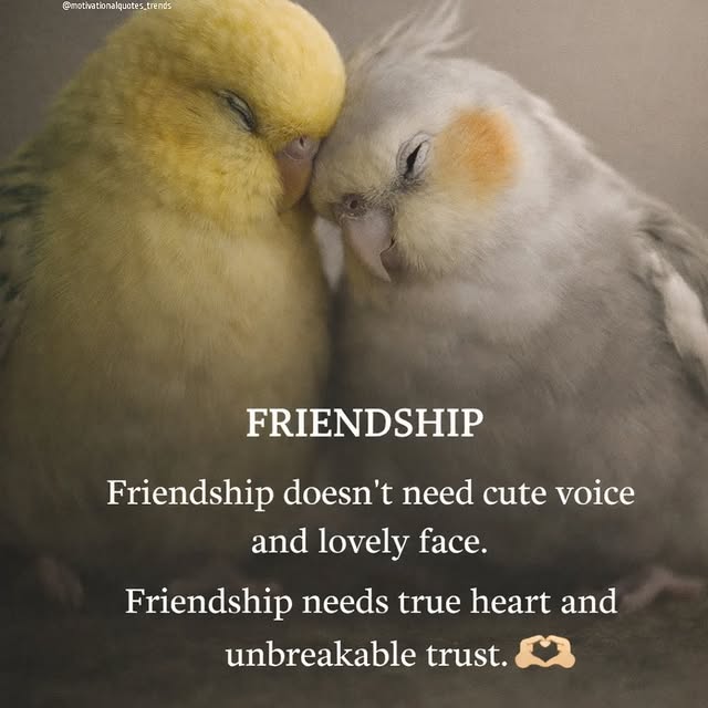  ............quotes_trends   'recent posts' 