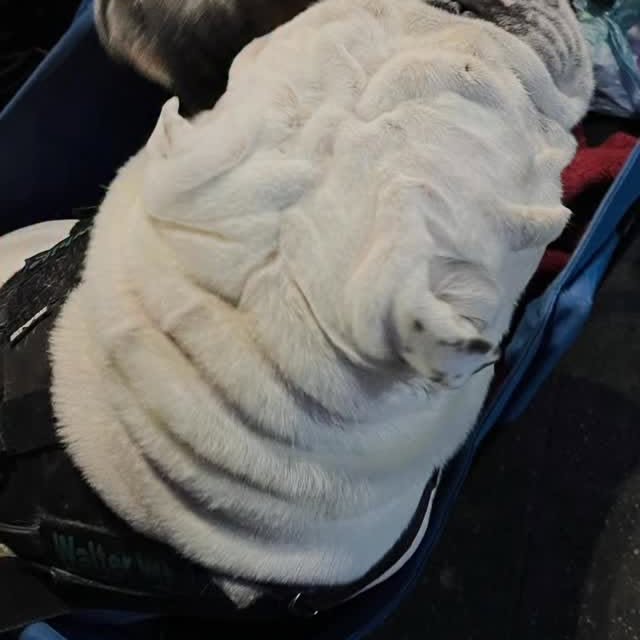  ......rwhite   'recent posts' 