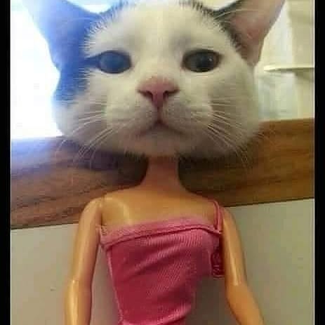  .....amous   'recent posts' 