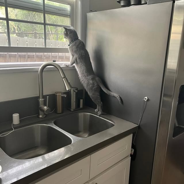  ......n_boris   'recent posts' 