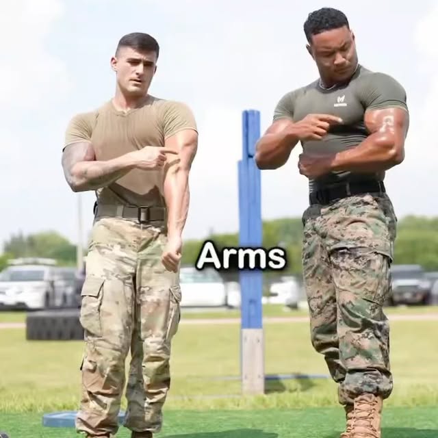  .....tsnow   'recent posts' 