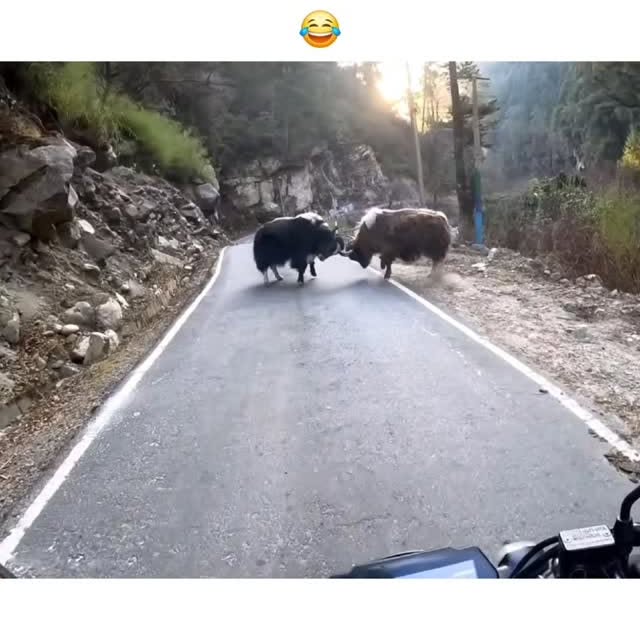  .....ustfy   'recent posts' 