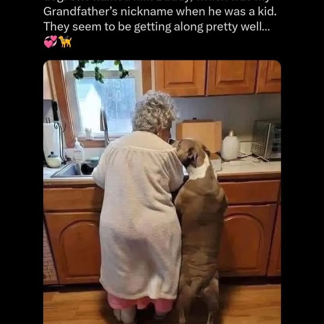  .......s.global   'recent posts' 