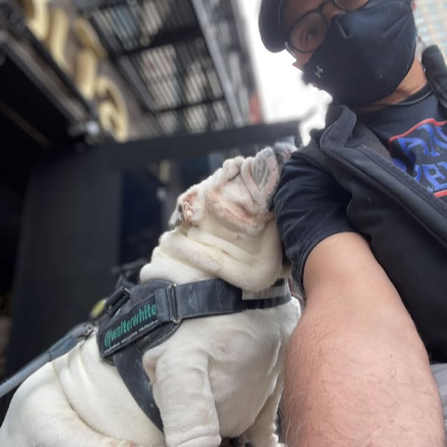  ......rwhite   'recent posts' 