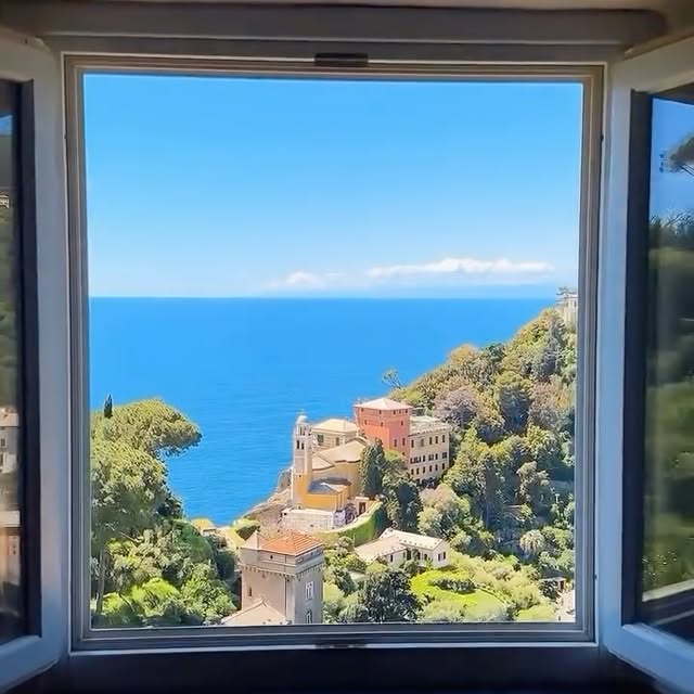  ....temag   'recent posts' 