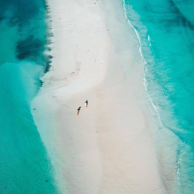  ........caribe   'recent posts' 