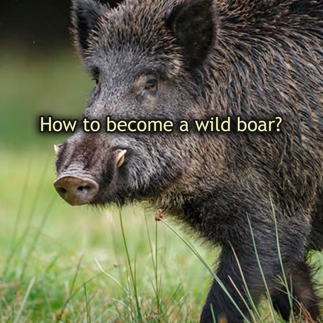  .....slv   'recent posts' 