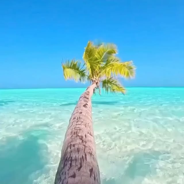  ......urneys   'recent posts' 