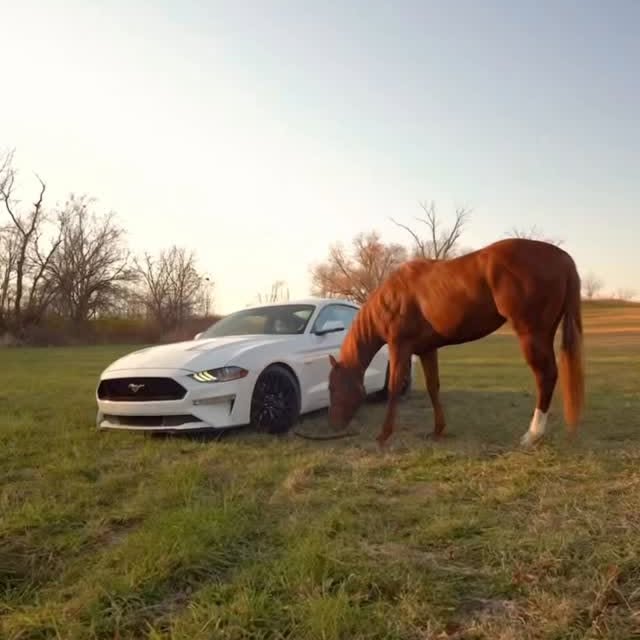  .......fanclub   'recent posts' 