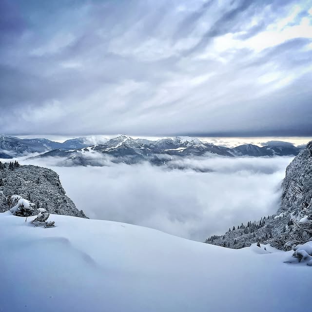  ......_viola   'recent posts' 