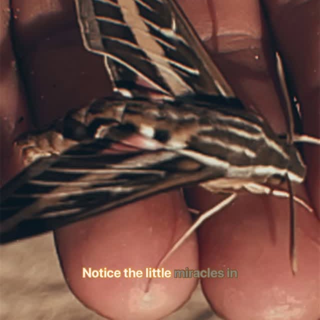  .........nofnomads   'recent posts' 