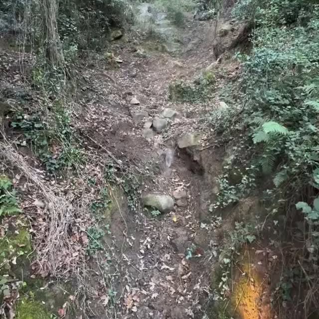  .......kesgram   'recent posts' 