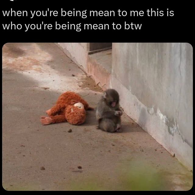  ........shipkink   'recent posts' 