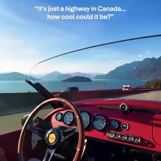  .....lsclub   'recent posts' 