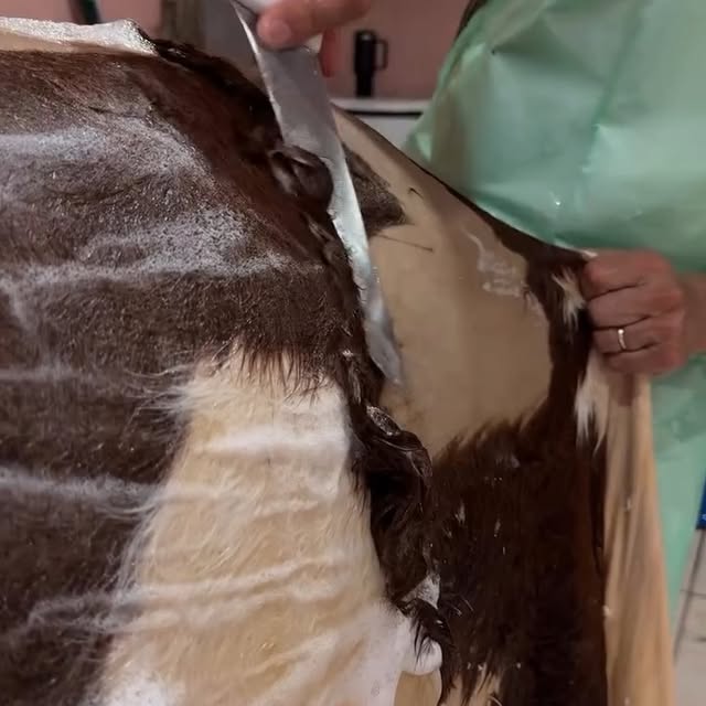  ...ral   'recent posts' 