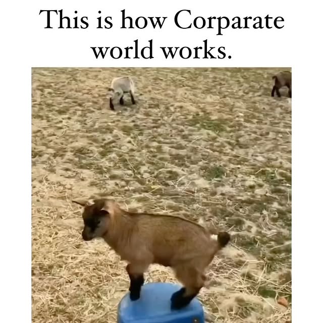  ........oundation   'recent posts' 