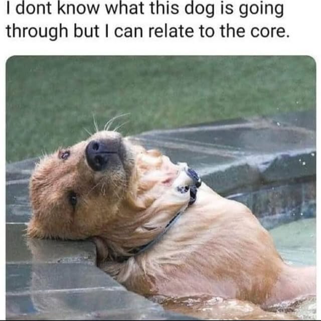  ......iends2   'recent posts' 