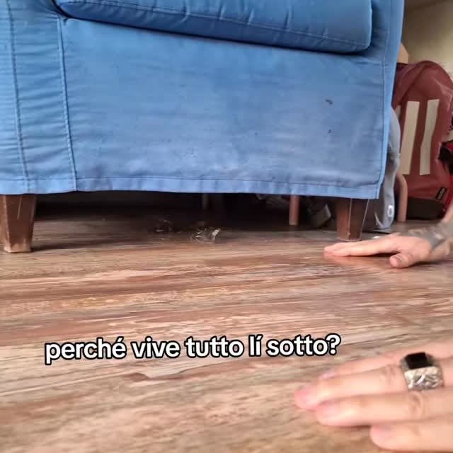  ........attilo90s   'recent posts' 