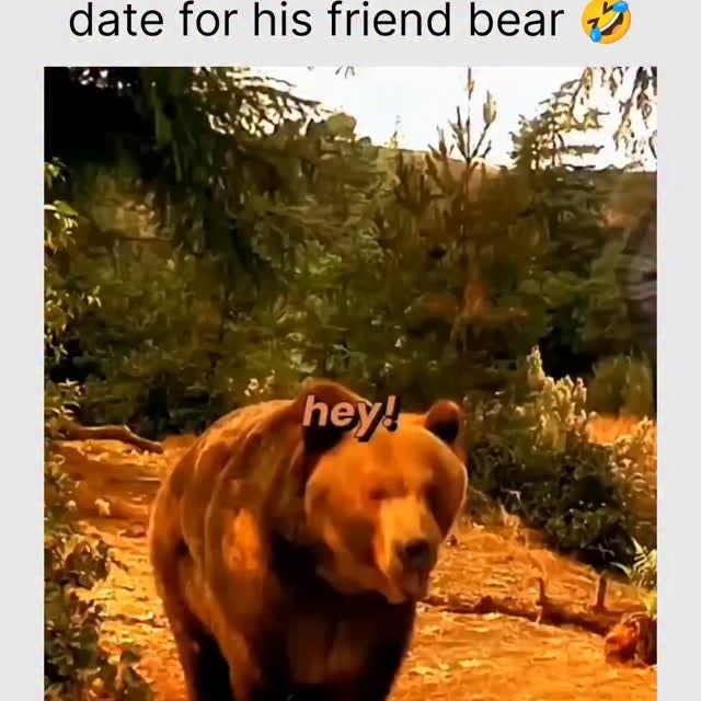  .......cesgoal   'recent posts' 