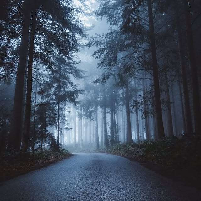  ......entpix   'recent posts' 