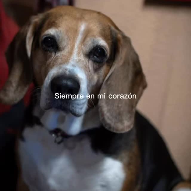  ....omero   'recent posts' 