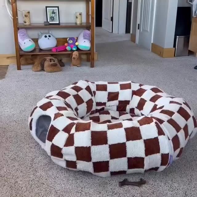  ..........fan.club_   'recent posts' 