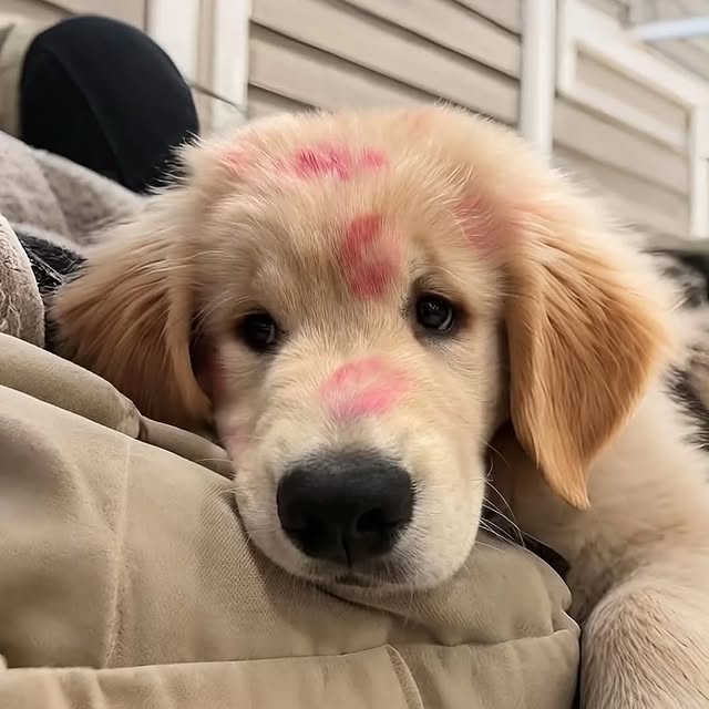  .......page_   'recent posts' 