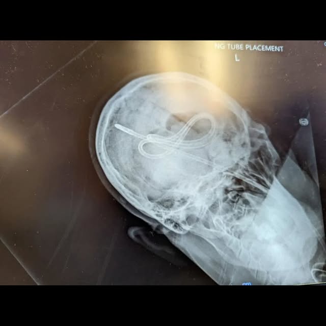  .....sproud   'recent posts' 