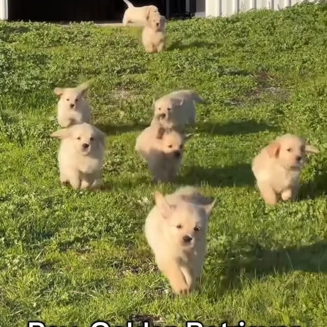  ......orable   'recent posts' 