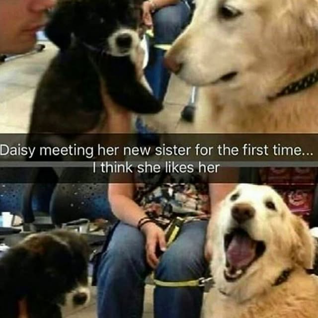  .......ndrulzz   'recent posts' 