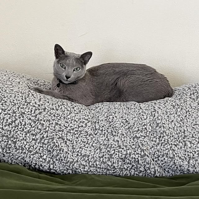  ......n_boris   'recent posts' 