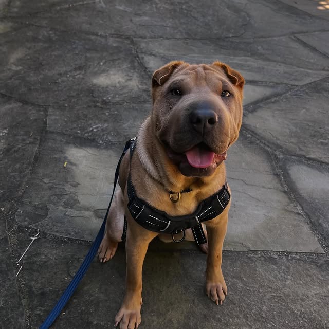  ......i.world   'recent posts' 