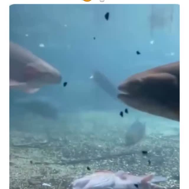  ......marino   'recent posts' 