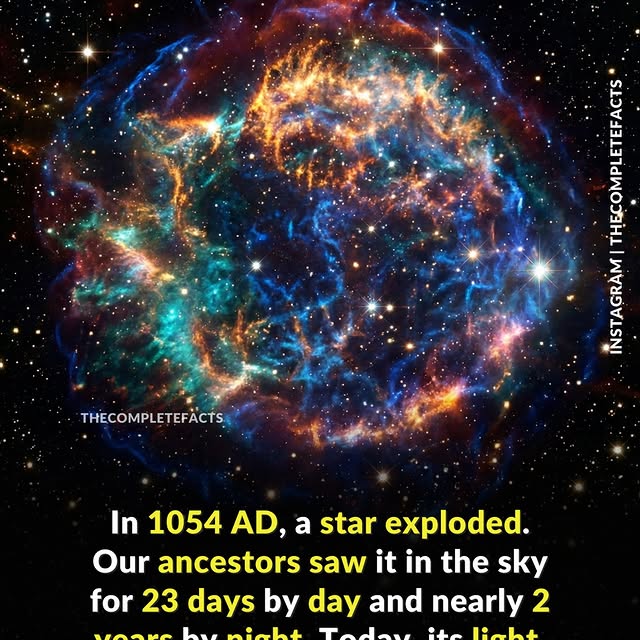  ........etefacts   'recent posts' 