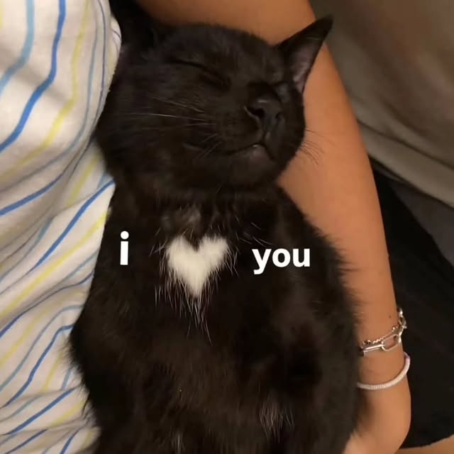  .......ats_club   'recent posts' 