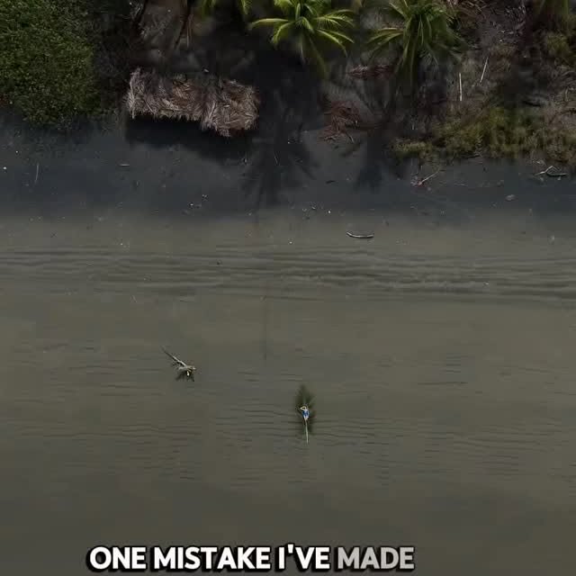  ......edustin   'recent posts' 