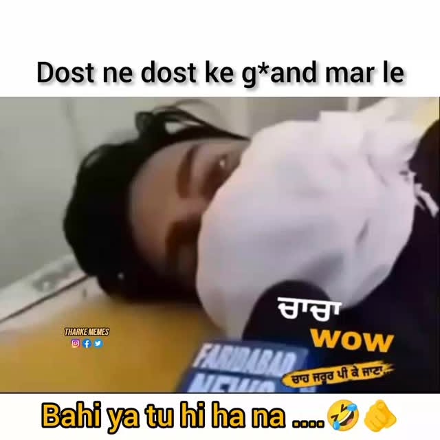  ......__memes   'recent posts' 