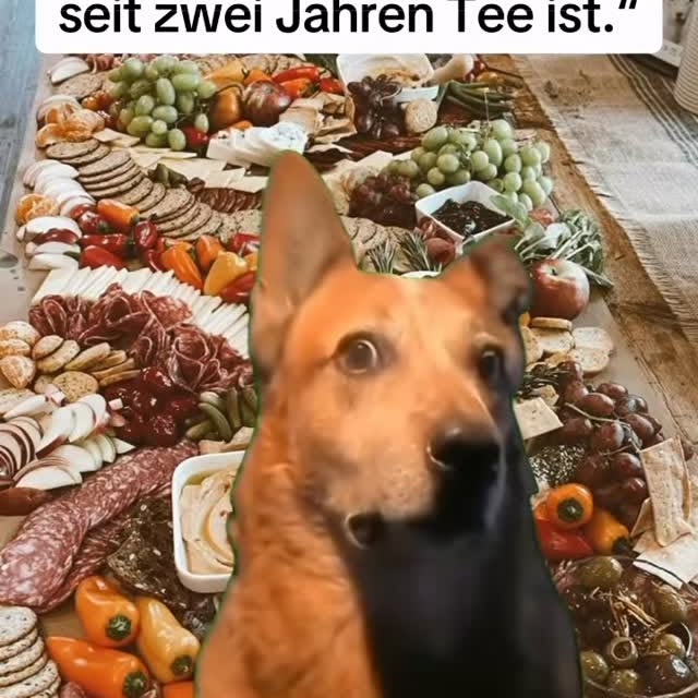  .........er.alkohol   'recent posts' 