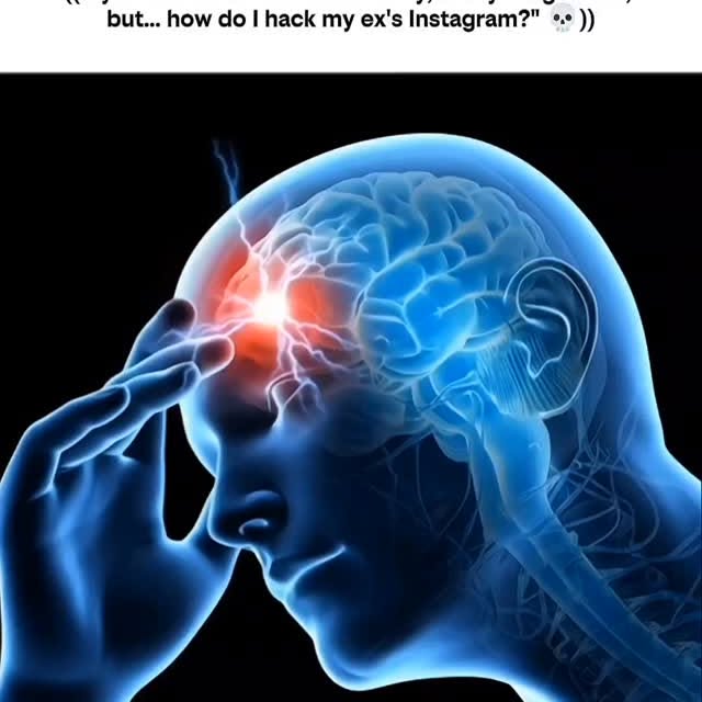  ....xbit   'recent posts' 