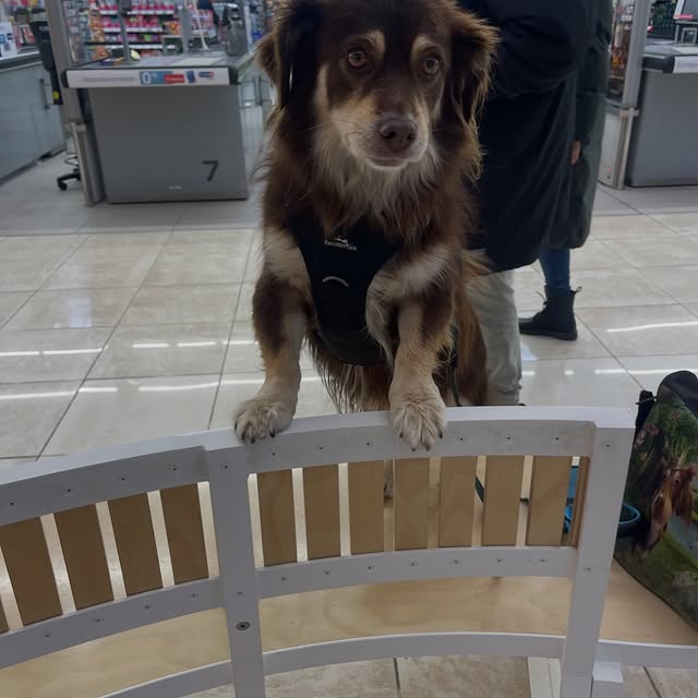  .....og2020   'recent posts' 