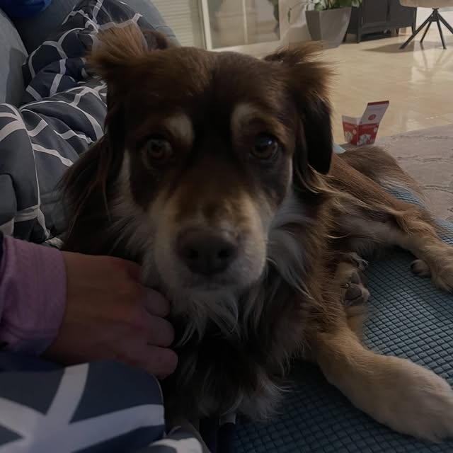  .....og2020   'recent posts' 