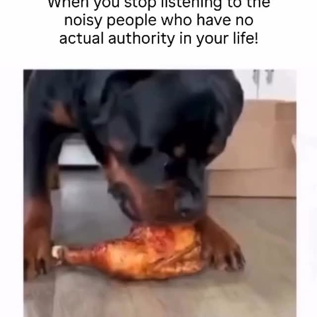  .......altitans   'recent posts' 